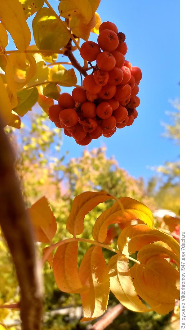 Прогулка в парке