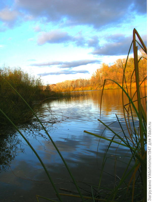 Река Сакмара в Октябре