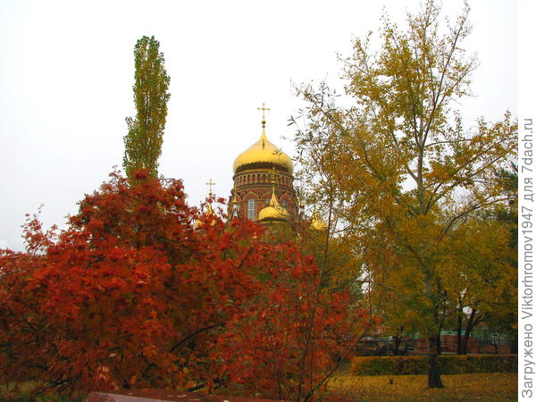 Осень в парке...