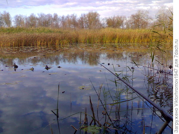 Осенняя рыбалка...