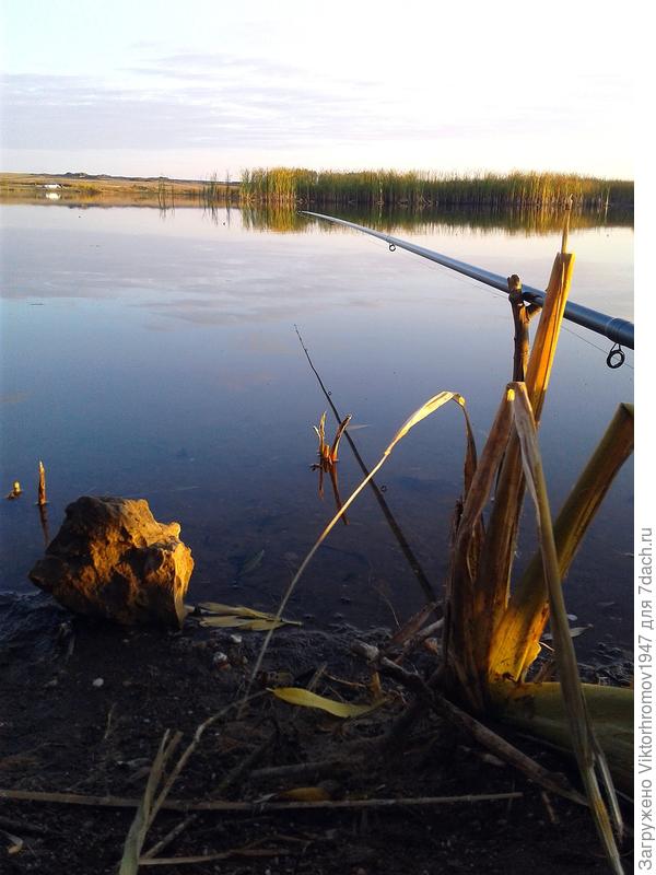 Осенний вечер на пруду...