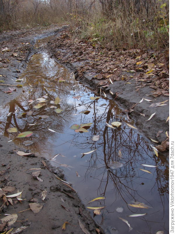 Любые дороги