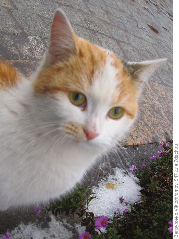 в Сентябринках...