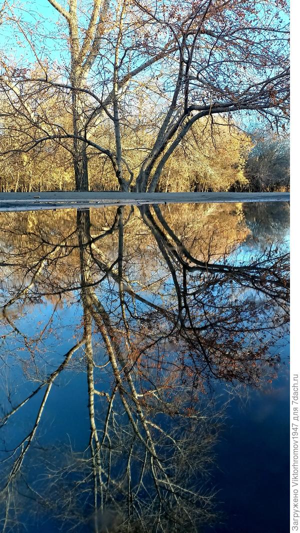 Отражение в Осенней лужице