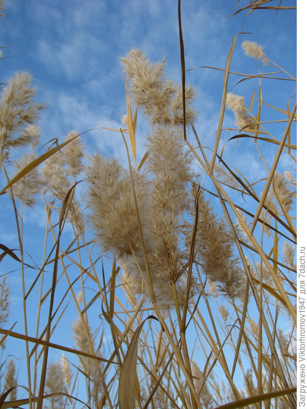 ...значит Осень