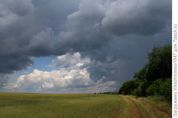 нужно вернуться.