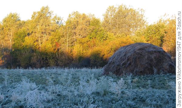 Морозное Утро...