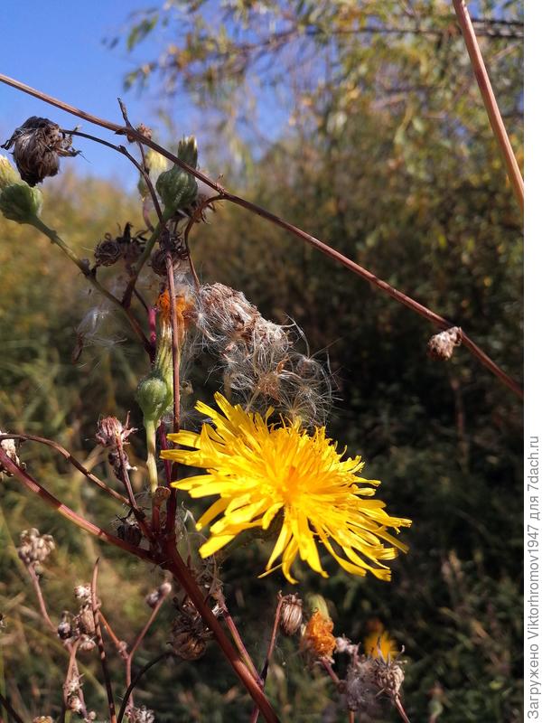 Красивая Осень!