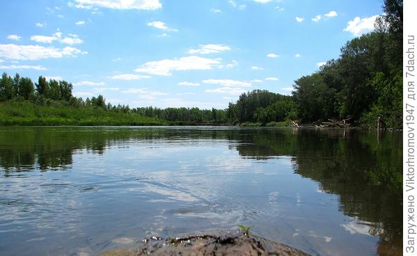 Редко везунчикам попадается и Осетр.