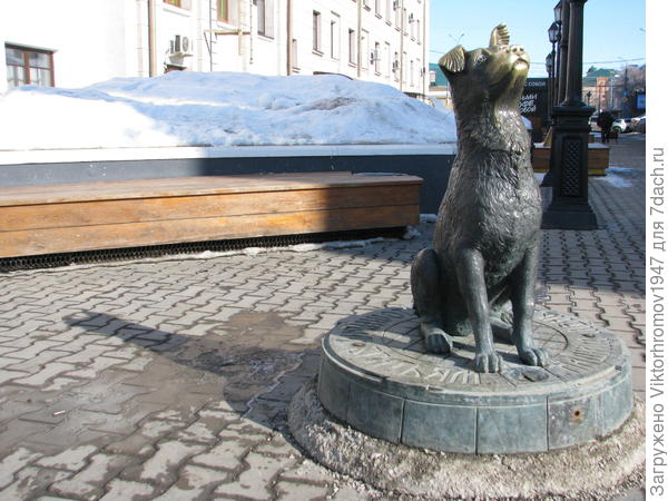 Лучшим друзьям нашим меньшим...