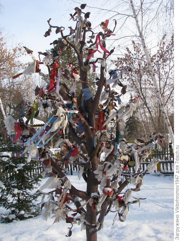 Дерево Любви...