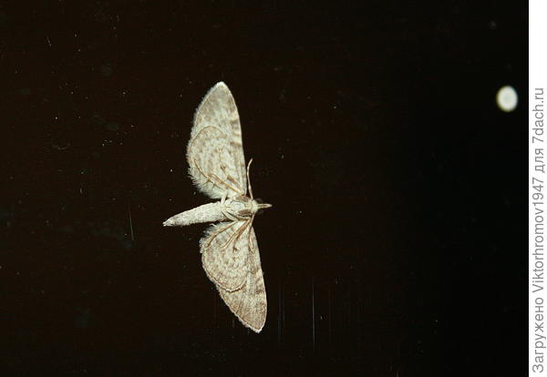 Хочу долететь до луны....