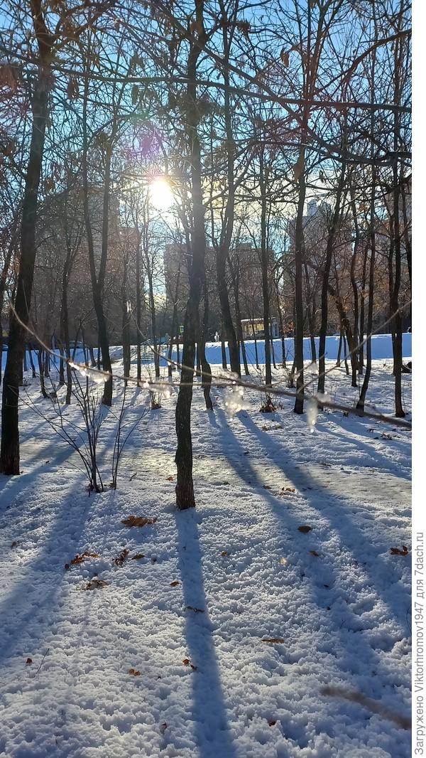 Вечер в парке.