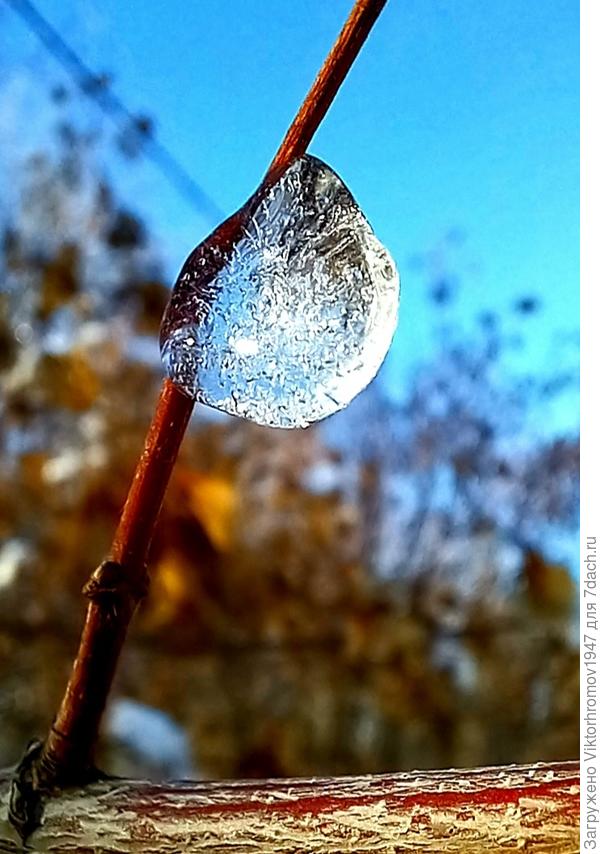 эта ледяная капелька. Наверное она волшебная!...