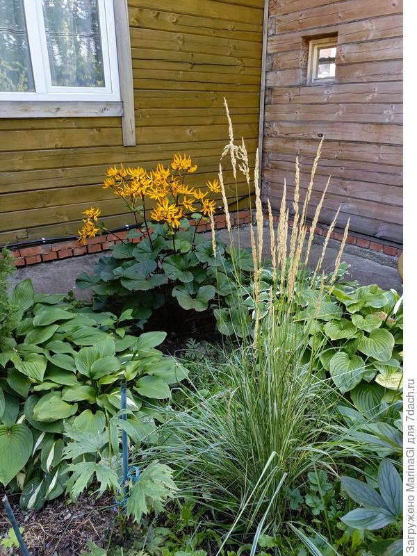 Темный угол с ним светлее