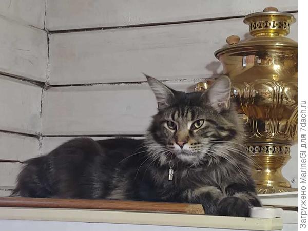 Радомир Варди знакомится с новым домом