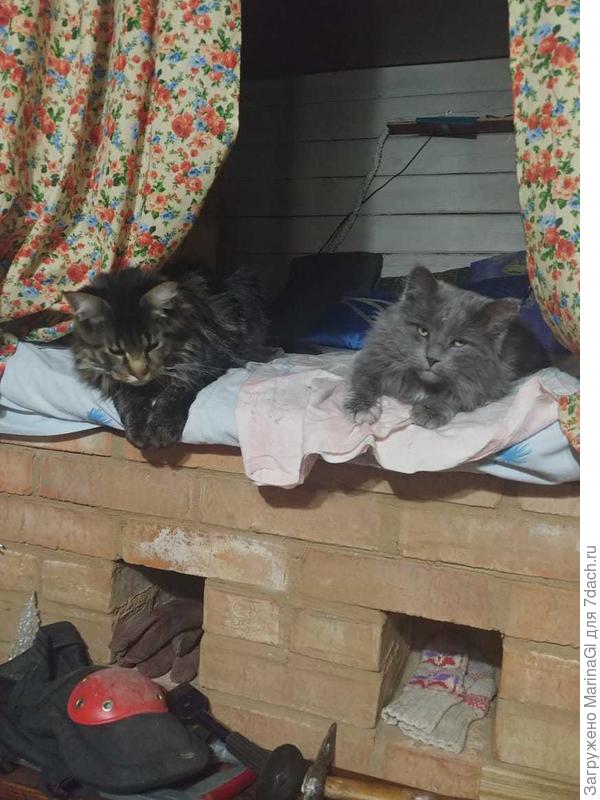 На печке хорошо..