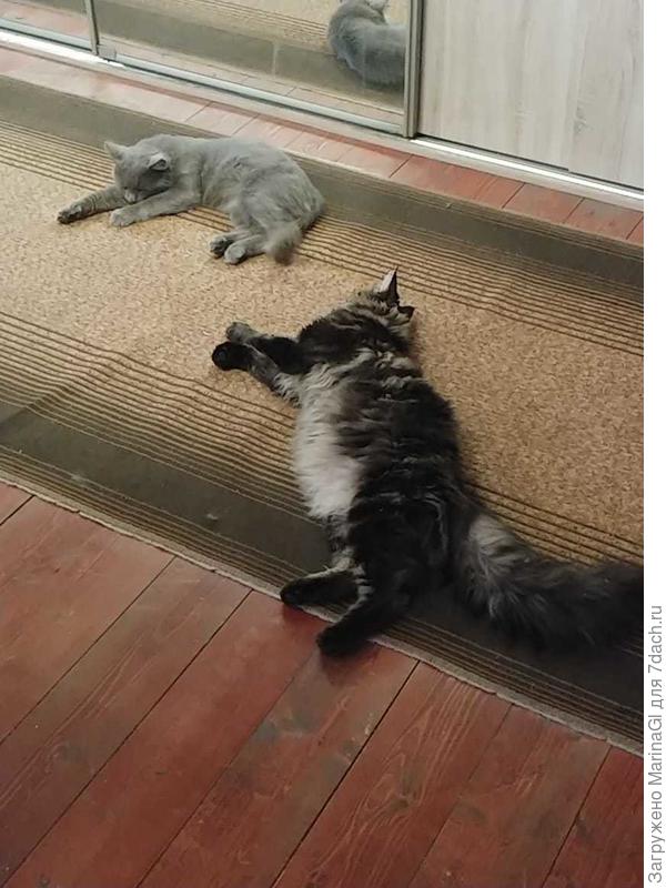 Сравним размеры..