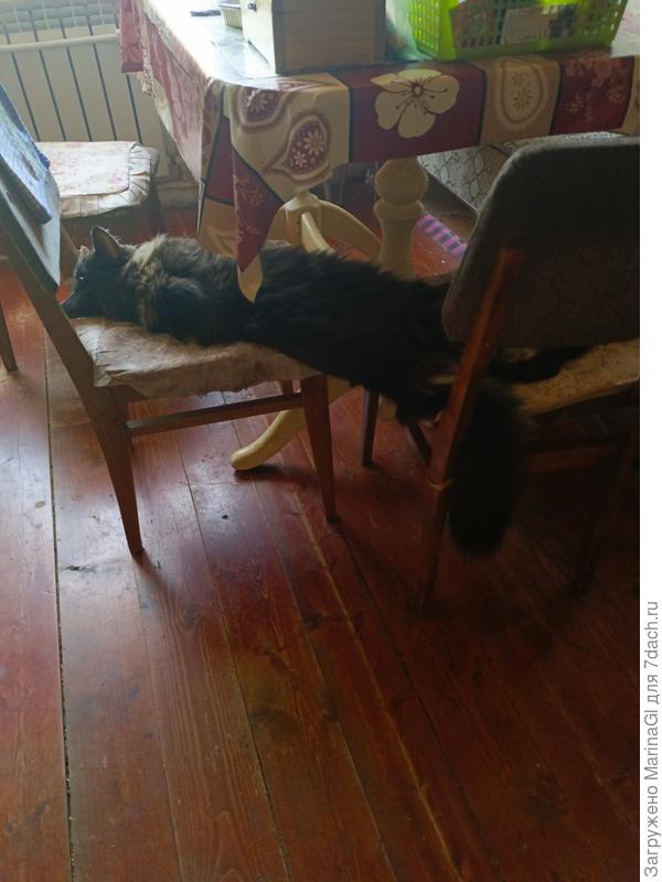 Не будите, я сплю.. Но если что, то сплю чутко..