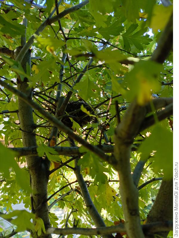 Чей-то покинутый дом..