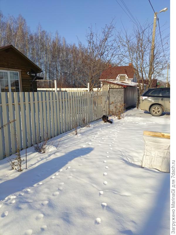 Кто прогуляться вышел, а кто и на охоту