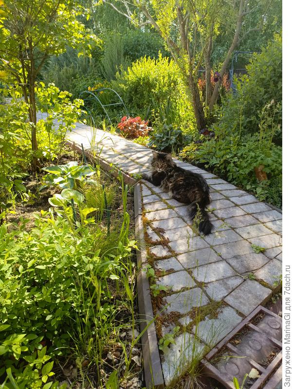 А кое-кому и без парной жарко, Радомир прилег на влажную брусчатку в тенечке под ивой