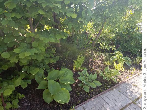 Почти все хосты в разной степени "распущенности"