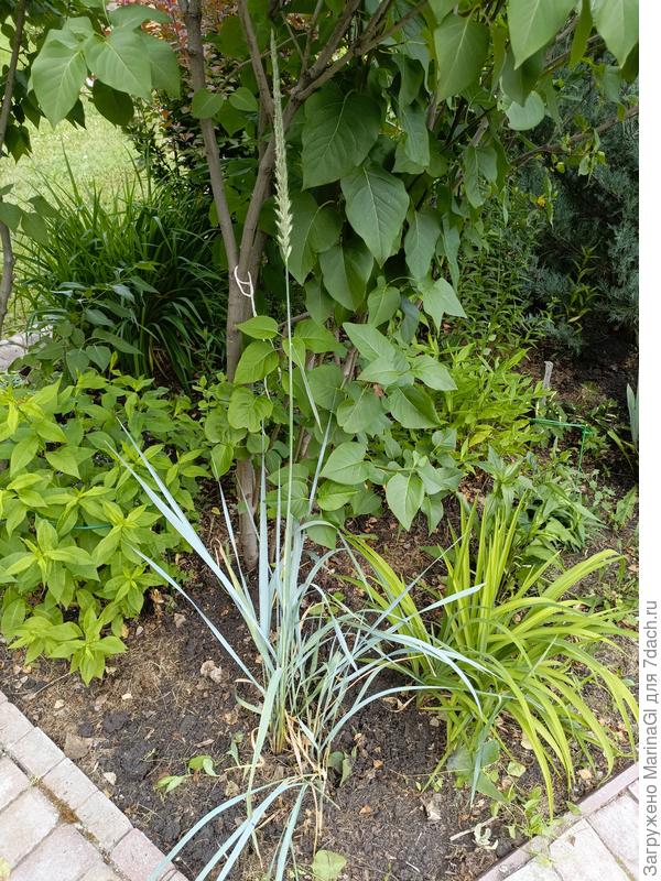 Пока пусть тут посидит