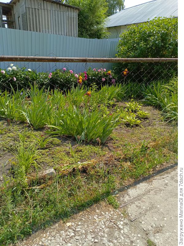 Чужой красивый палисад