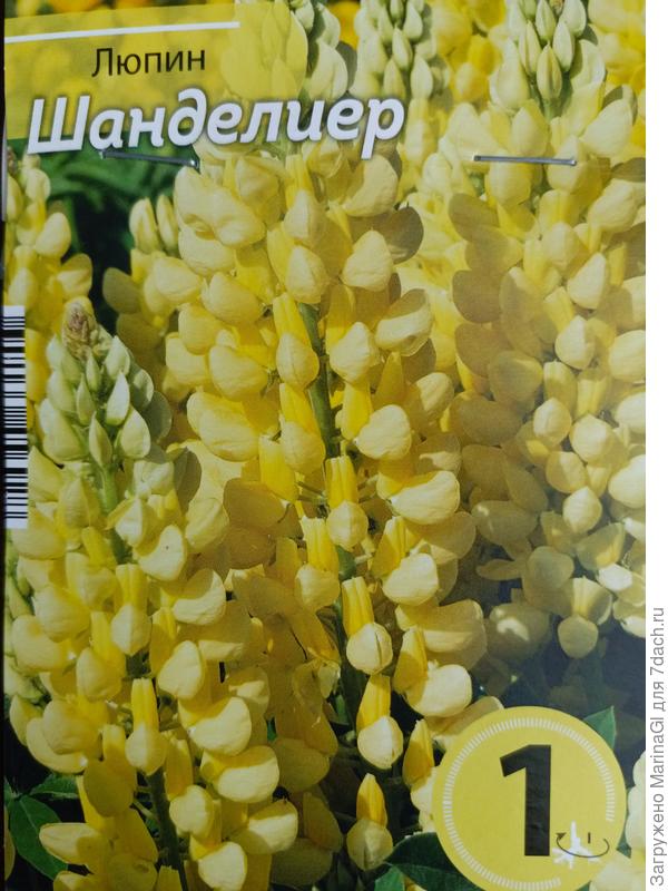 Продолжаю хотеть такой люпин))