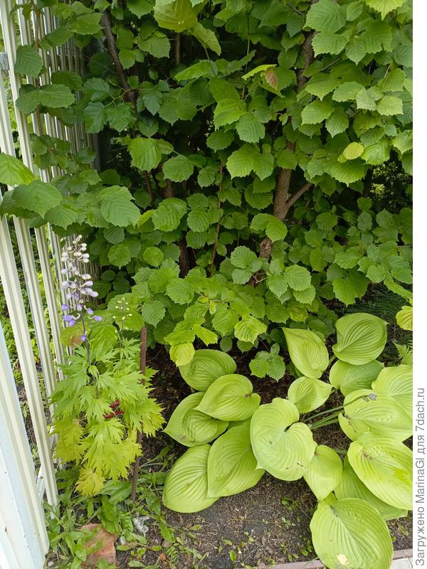 Отсюда не уйду, даже не пытайся!