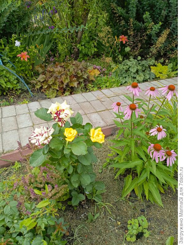 Куда делись темные полоски?!