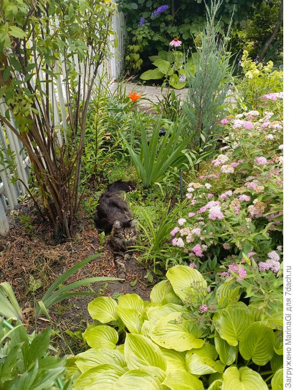 Помощник и контролёр