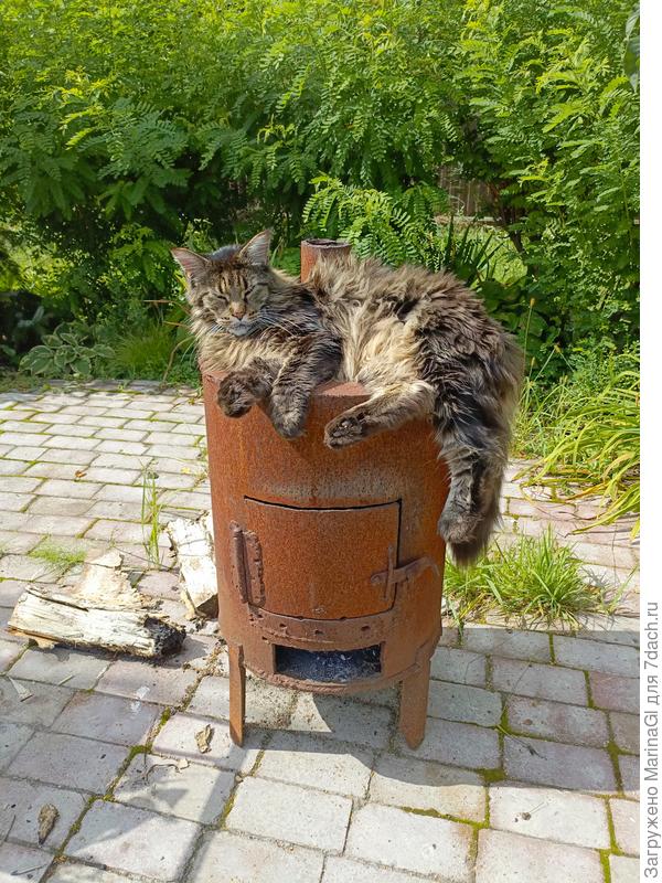 Место занято! Разжигать огонь в печке не дам!