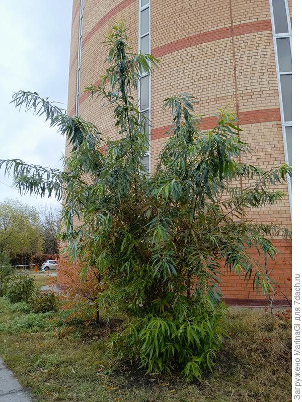 На фоне паркинга