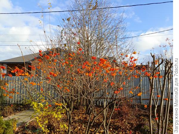 Последний день октября - чудная погодка!