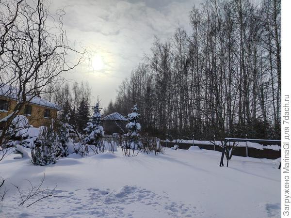 Солнце пока "в дымке", через час-полтора будет очень ярко