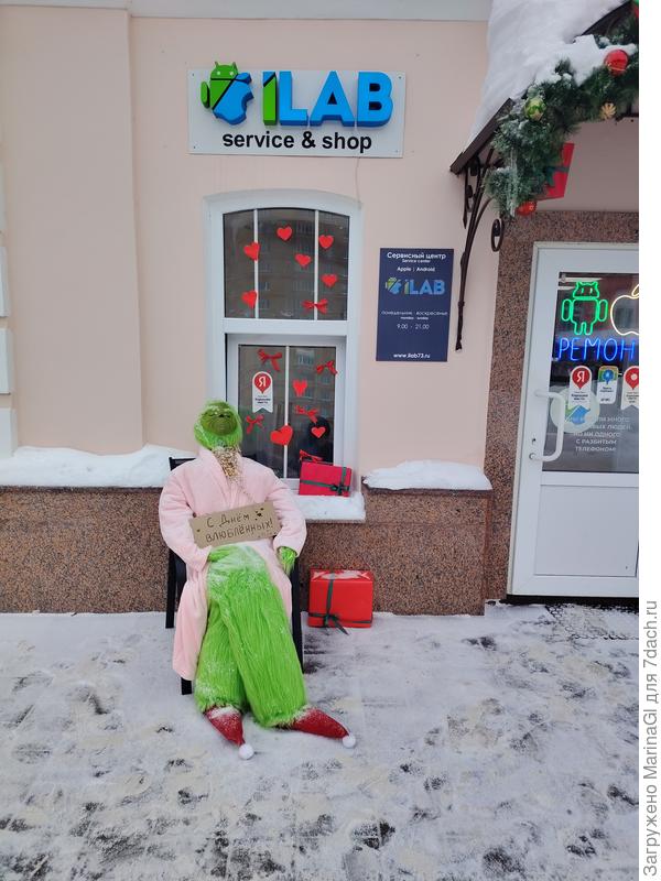 Влюбленный нищий кот