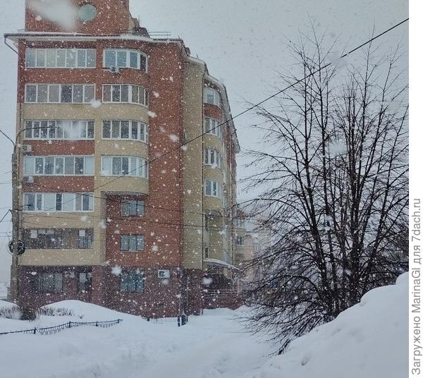 Снег повалил.. Еще 10 минут петляния по тропинкам между сугробов и я дома