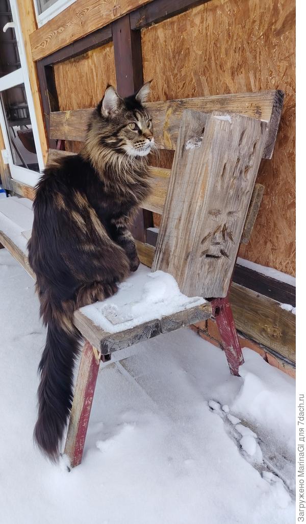 Вы гребите, гребите.. я отсюда присмотрю за порядком