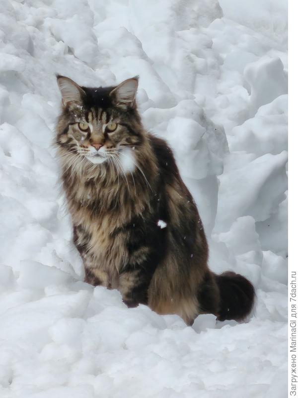 Так осторожненько, осторожненько потихоньку можно пройти.. Я попробовала - и сразу провалилась.