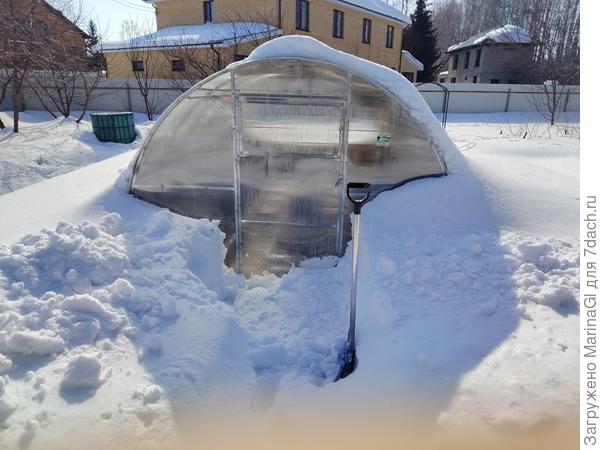 Стою на краю дорожки в теплицу, здесь как раз еще лежит сошедший с крыши снег со льдом. Высоко стою - далеко гляжу!