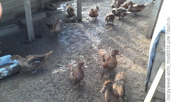 Разбрелись кто-куда, но некоторые девчонки позируют