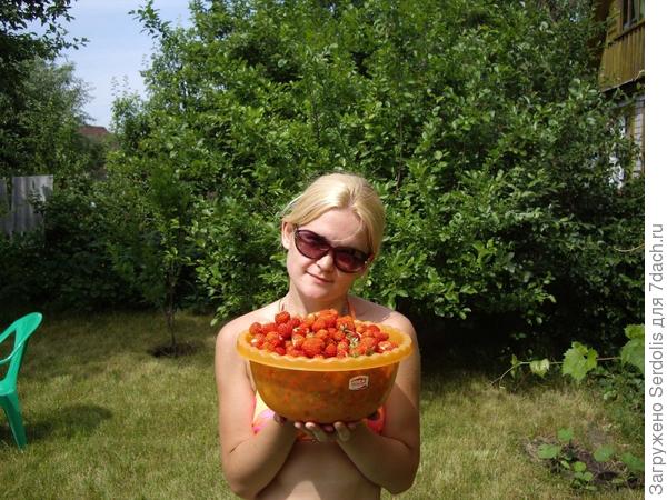 клубничка