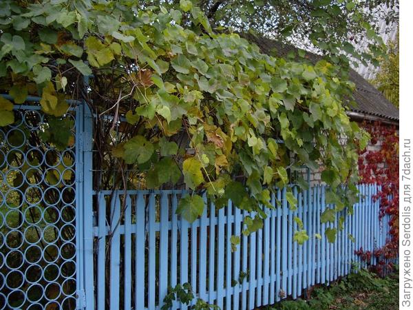 еще смотрим
