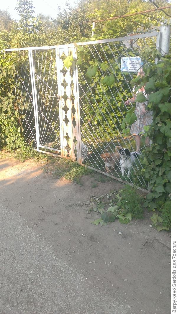 агрессивной и злопамятной не хватает