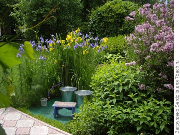 водный источник