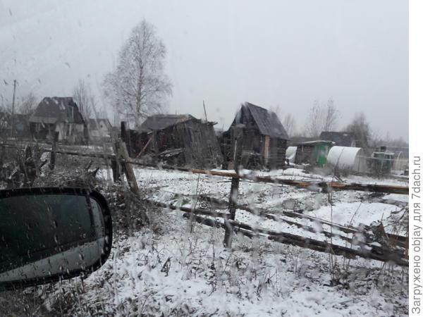 Снежок с утра