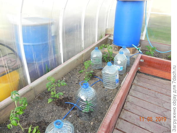 бочку наполняю 1 раз в неделю, по выходным