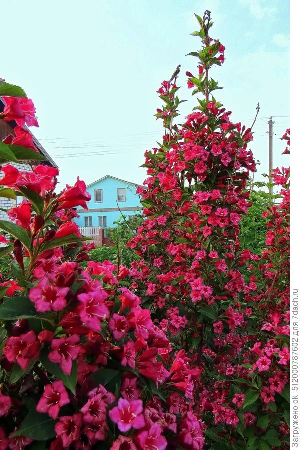 С Праздником!